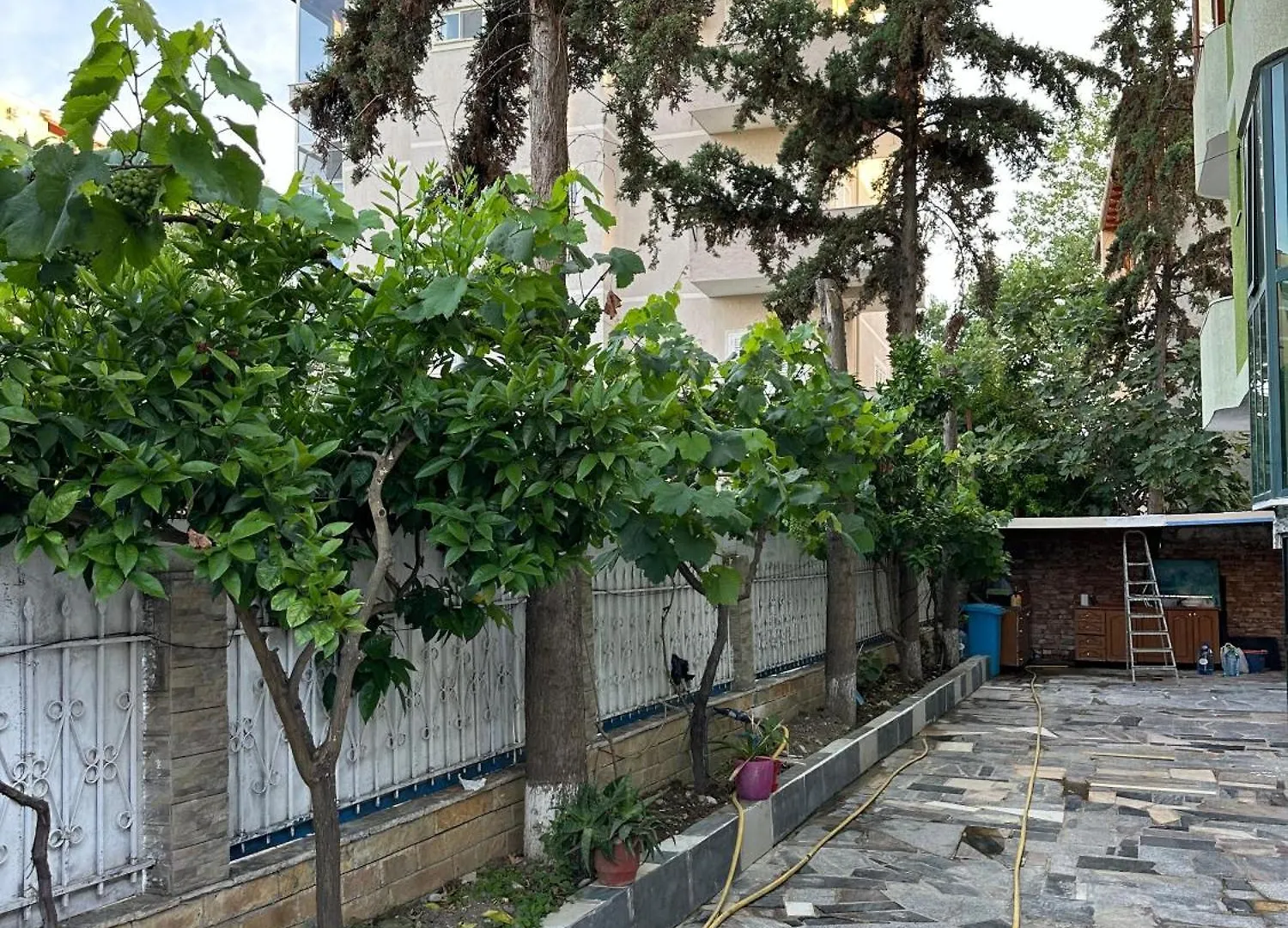 Oda ve Kahvaltı Freya'S Rooms Dıraç Arnavutluk